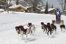 Lenk 2012 SM